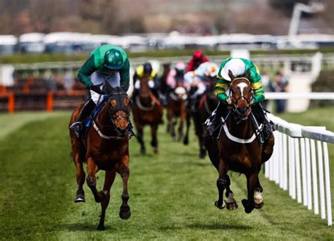 grand national live odds|Grand National Live: Delta Work favourite, Runners, .